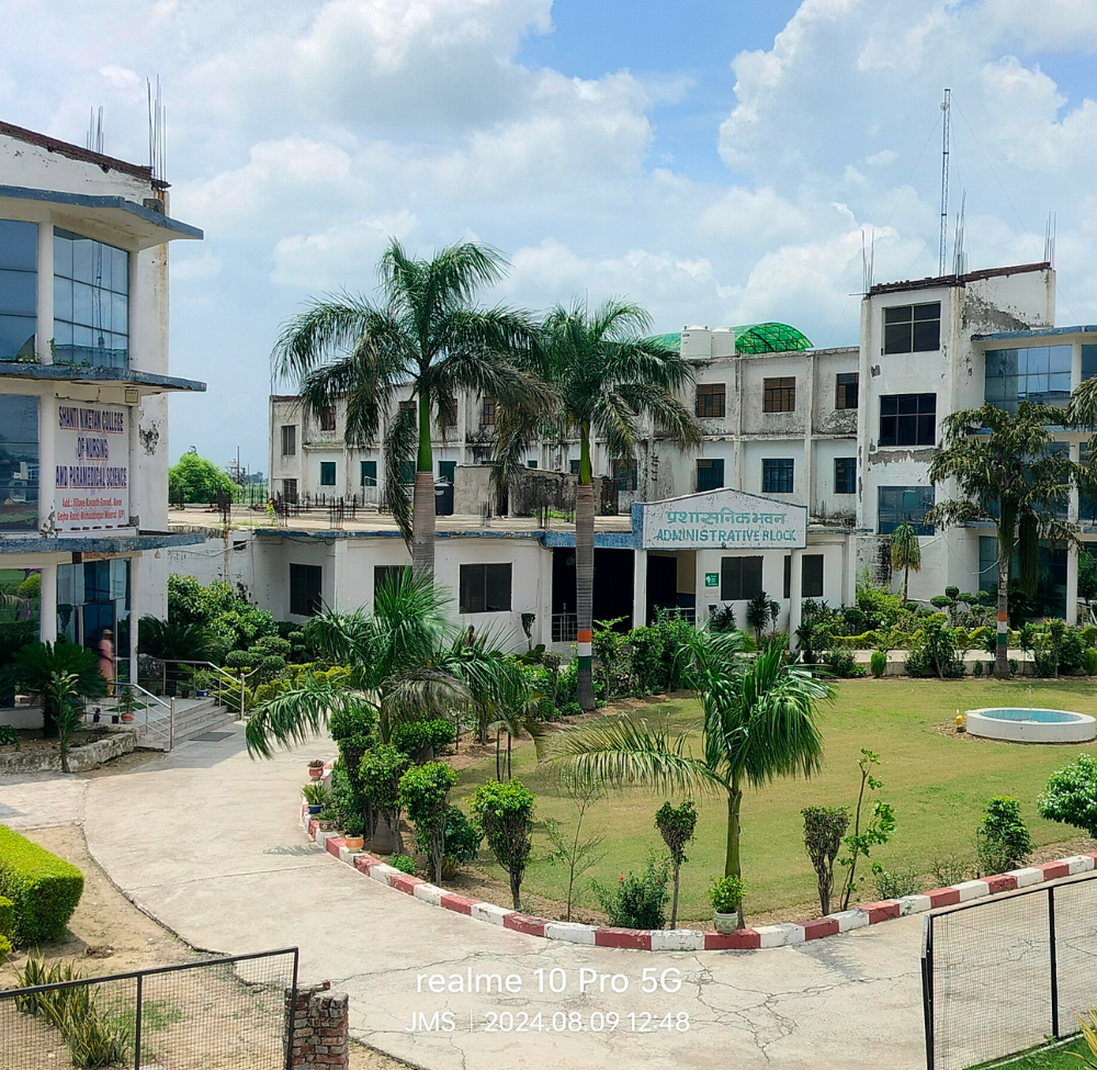 About the School
